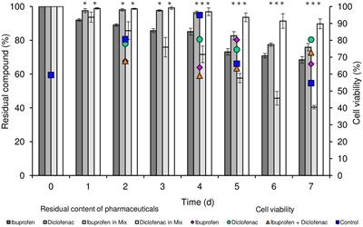 Phenotypic and metabolic adaptations of Rhodococcus cerastii strain IEGM 1243 to separate and combined effects of diclofenac and ibuprofen